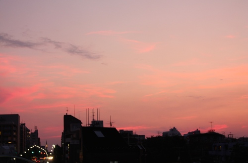 IMG_8993.JPGのサムネール画像