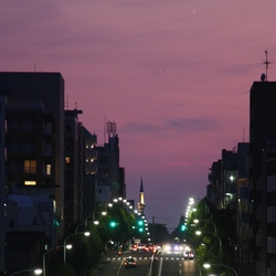 IMG_9008.jpgのサムネール画像