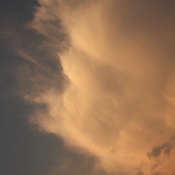 IMG_9018.JPGのサムネール画像