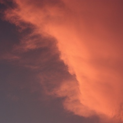 IMG_9025.JPGのサムネール画像