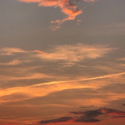 IMG_9383.JPGのサムネール画像