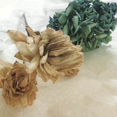 IMG_0171.JPGのサムネール画像