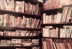 IMG_0244.JPGのサムネール画像