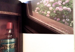 IMG_0248.JPGのサムネール画像