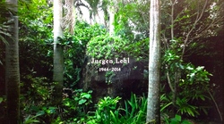 IMG_0391.JPGのサムネール画像