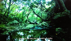 IMG_0403.JPGのサムネール画像