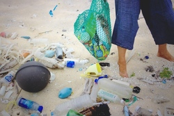 IMG_0406.JPGのサムネール画像