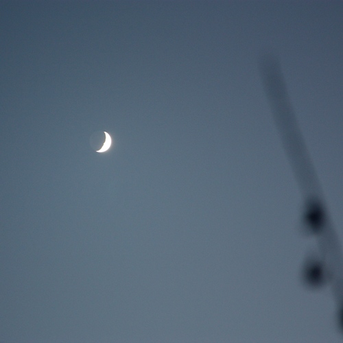 IMG_9217.JPGのサムネール画像