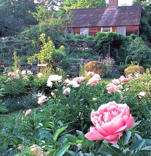 b0bb6891aeddd88350e8065e4955022f.jpgのサムネール画像