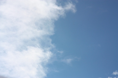 IMG_9296.JPGのサムネール画像