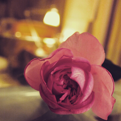 image1.JPGのサムネール画像