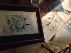 IMG_5955.JPGのサムネール画像