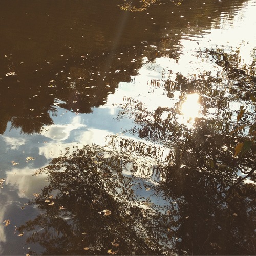 IMG_2214.JPGのサムネール画像