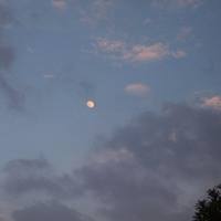 13418622_889649187811454_2382852303015445027_o.jpgのサムネール画像