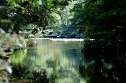 IMG_0096.jpgのサムネール画像