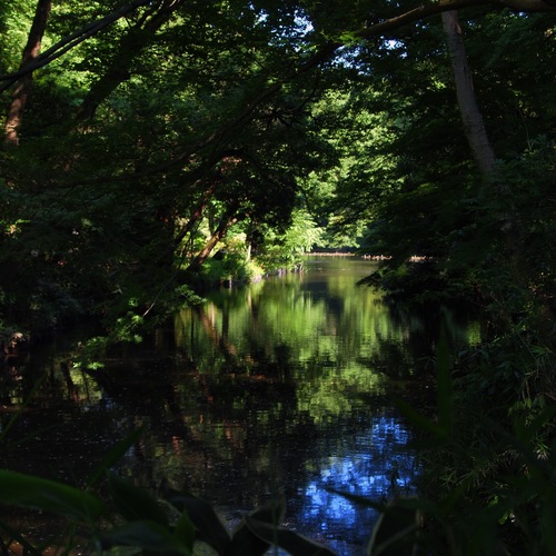 IMG_6548.jpgのサムネール画像