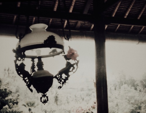 P1016248.jpgのサムネール画像