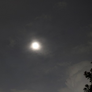 IMG_0249.jpgのサムネール画像