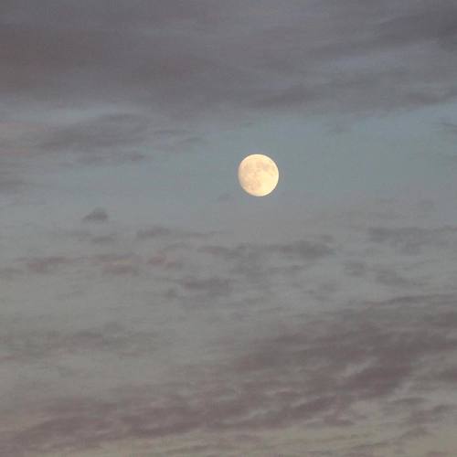 14670611_970198756423163_3730826689175808842_n.jpgのサムネール画像