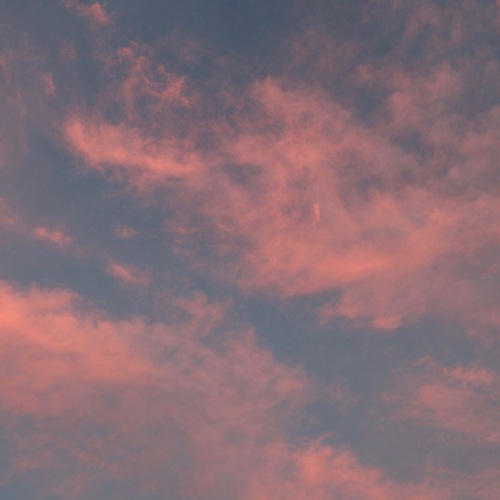 IMG_0259.jpgのサムネール画像