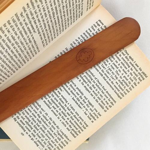 16143650_1061396303970074_5865959573530334719_o.jpgのサムネール画像