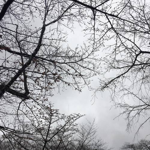 17358847_1112785325497838_6653561233022075117_o.jpgのサムネール画像