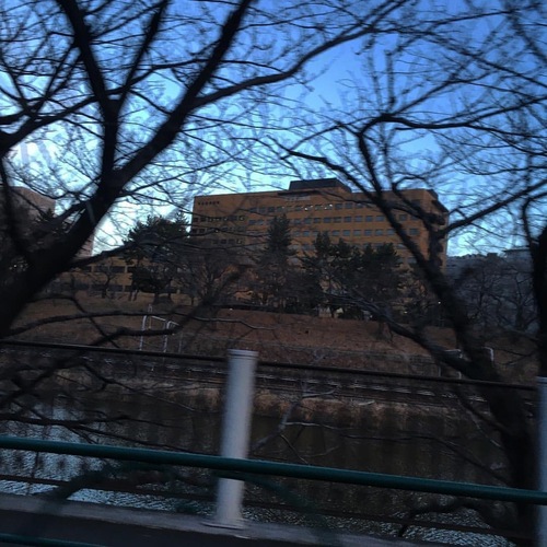 IMG_0636.jpgのサムネール画像