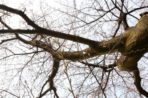 IMG_0727.jpgのサムネール画像