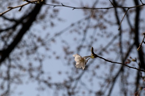 IMG_0730.jpgのサムネール画像