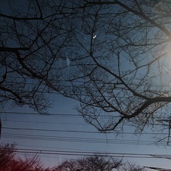 IMG_0179.jpgのサムネール画像