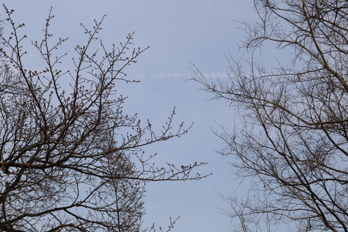 IMG_0682.jpgのサムネール画像