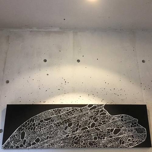 18341850_1161546097288427_6308042584955236668_n.jpgのサムネール画像