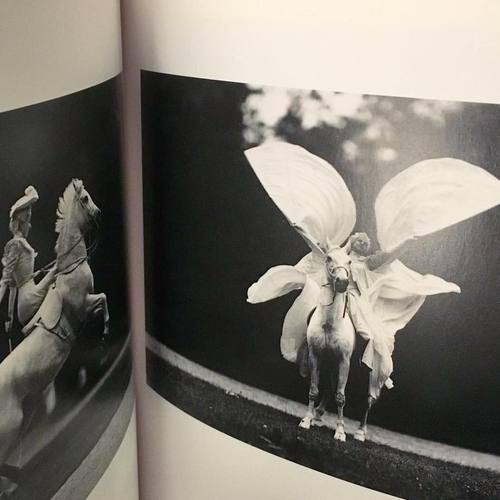 19225925_1201754523267584_680224300660807134_n.jpgのサムネール画像