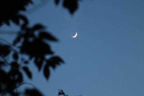 IMG_1070.jpgのサムネール画像