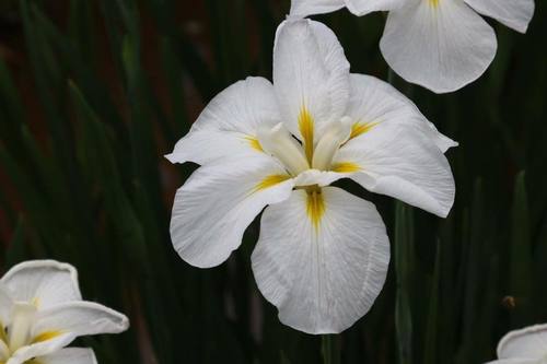 19029625_1196984063744630_8234743260092044350_n.jpgのサムネール画像