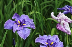 IMG_1211.jpgのサムネール画像