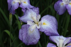 IMG_1213.jpgのサムネール画像