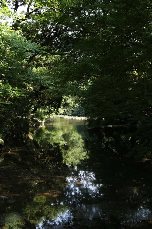 IMG_1233.jpgのサムネール画像