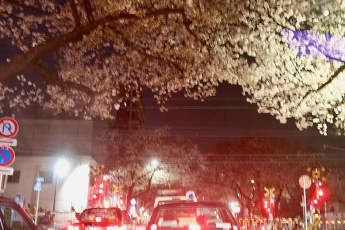 IMG_1928.jpegのサムネール画像