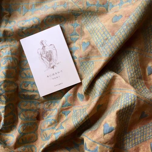 47502929_1792639497512414_1084107701799092224_n.jpgのサムネール画像