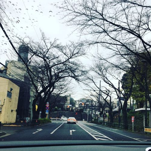 48950369_1828566843919679_1526286142679285760_n.jpgのサムネール画像