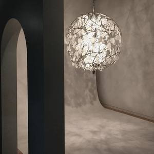 50692520_1858320047611025_1831607142889553920_o.jpgのサムネール画像