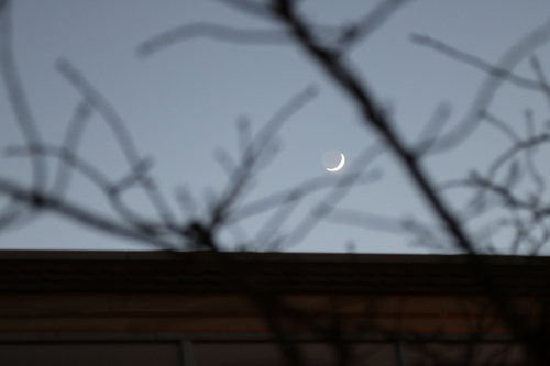 IMG_2951.jpgのサムネール画像