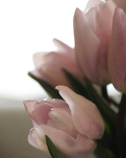 54434718_1941013446008351_825178975520161792_o.jpgのサムネール画像