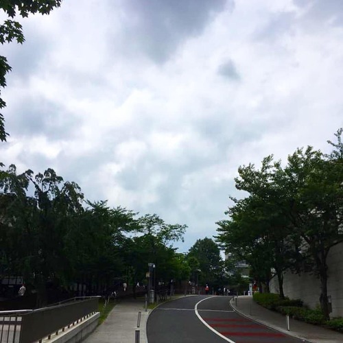 61243549_2049698131806548_8497631325287612416_n.jpgのサムネール画像