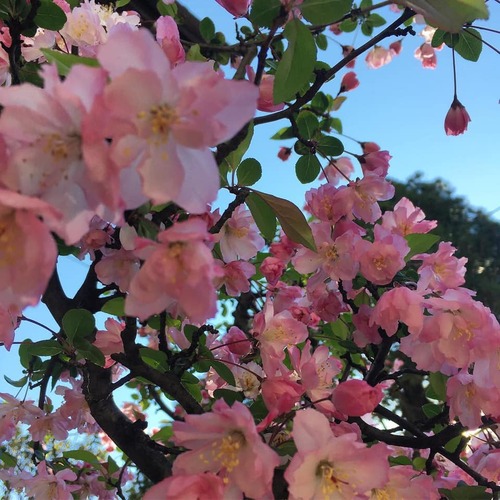 56533744_1963149190461443_6497193742456324096_n.jpgのサムネール画像