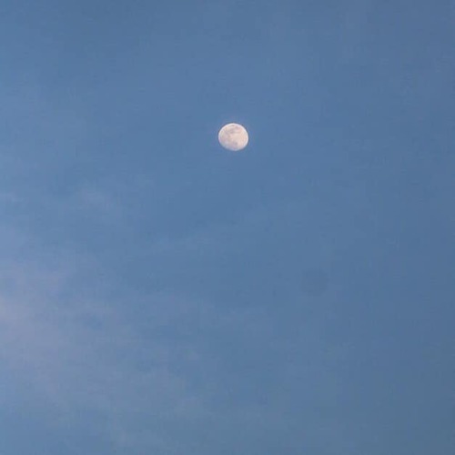 60337033_2027192324057129_5488619796540948480_n.jpgのサムネール画像