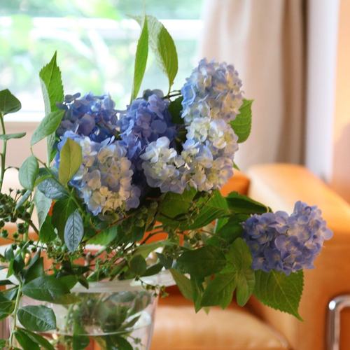 64397493_2082820965160931_6316885925833998336_o.jpgのサムネール画像