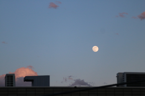 IMG_3821.jpgのサムネール画像