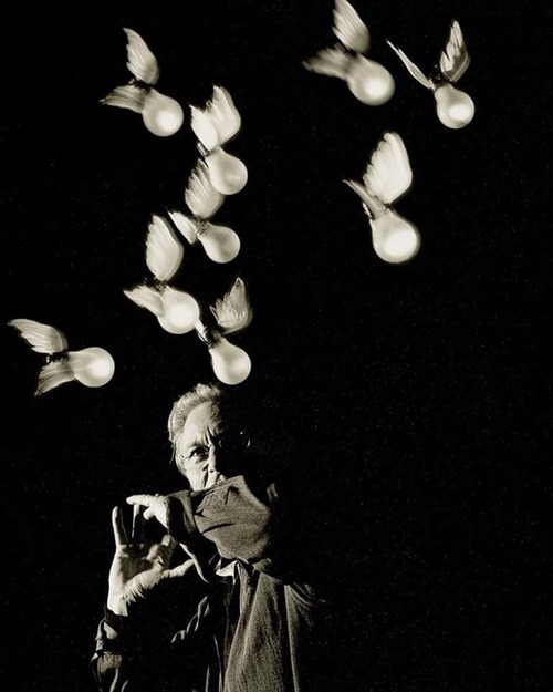 72466925_2322174427892249_3174787877573754880_n.jpgのサムネール画像